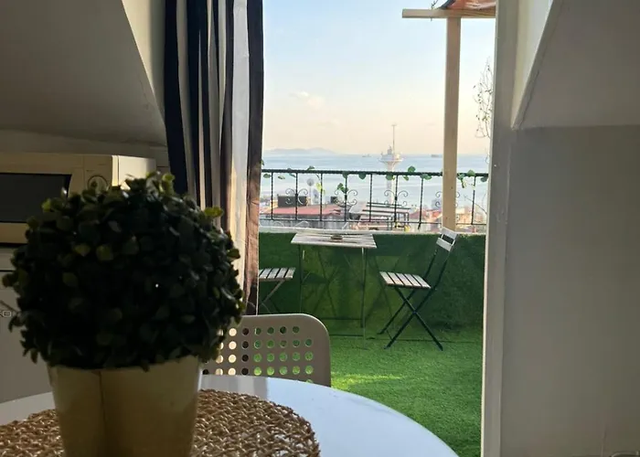 Blue With Views アパート イスタンブール